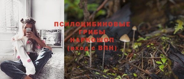 бутират Алзамай