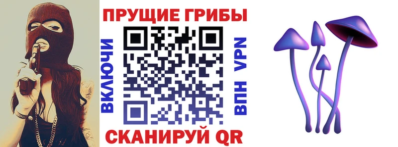 Псилоцибиновые грибы Psilocybe  Циолковский 